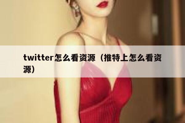 twitter怎么看资源（推特上怎么看资源） 第1张
