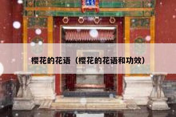 樱花的花语（樱花的花语和功效） 第1张