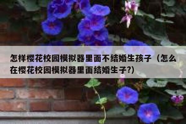 怎样樱花校园模拟器里面不结婚生孩子（怎么在樱花校园模拟器里面结婚生子?） 第1张