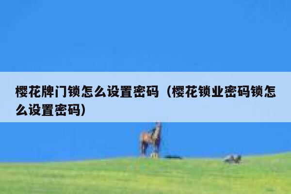 樱花牌门锁怎么设置密码（樱花锁业密码锁怎么设置密码） 第1张