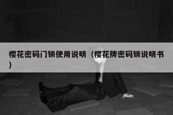 樱花密码门锁使用说明（樱花牌密码锁说明书） 第1张