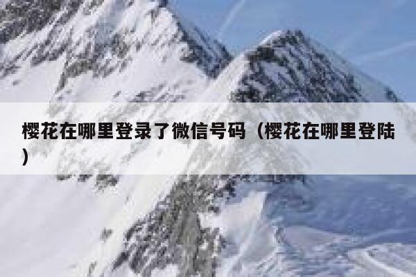 樱花在哪里登录了微信号码（樱花在哪里登陆） 第1张