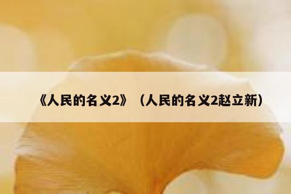 《人民的名义2》（人民的名义2赵立新） 第1张