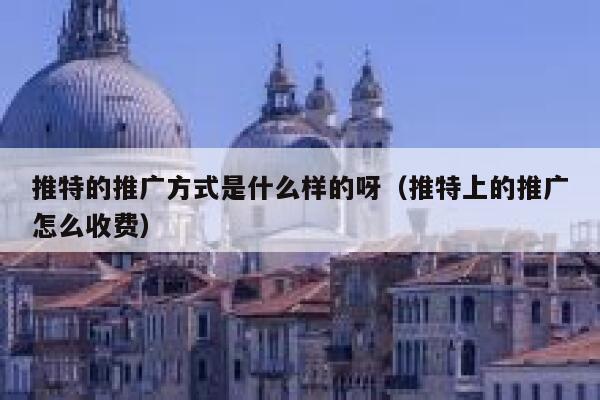 推特的推广方式是什么样的呀（推特上的推广怎么收费） 第1张