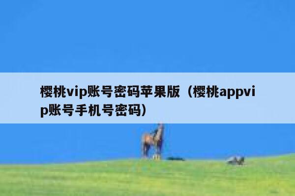 樱桃vip账号密码苹果版（樱桃appvip账号手机号密码） 第1张