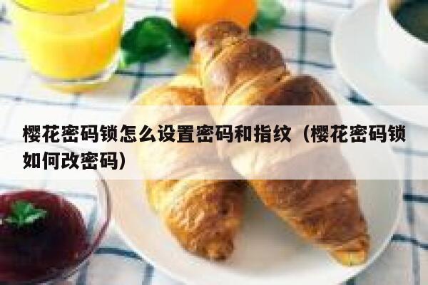 樱花密码锁怎么设置密码和指纹（樱花密码锁如何改密码） 第1张
