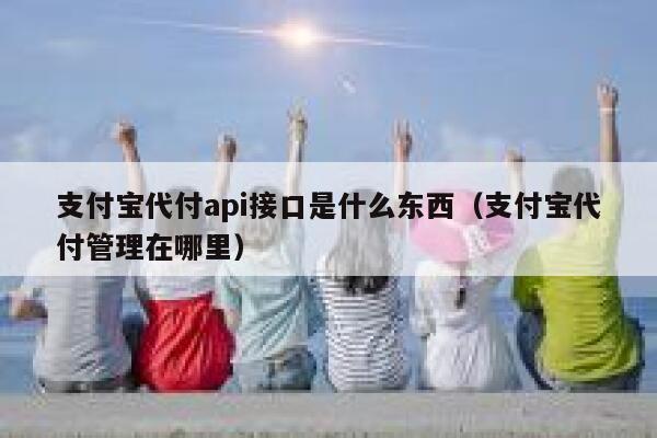 支付宝代付api接口是什么东西（支付宝代付管理在哪里） 第1张