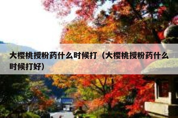 大樱桃授粉药什么时候打（大樱桃授粉药什么时候打好） 第1张