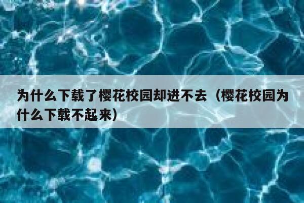 为什么下载了樱花校园却进不去（樱花校园为什么下载不起来） 第1张