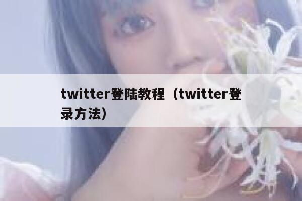 twitter登陆教程（twitter登录方法） 第1张