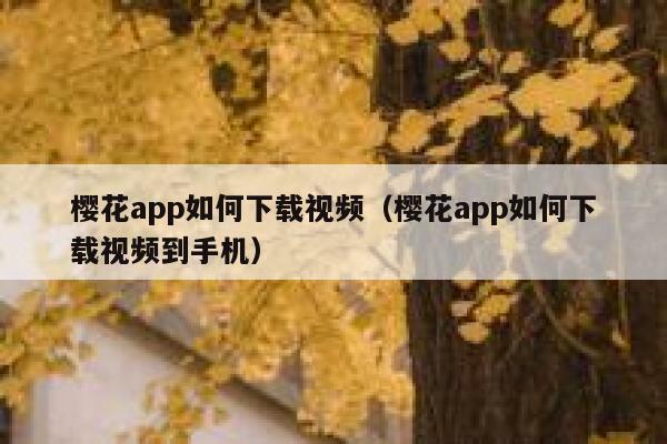 樱花app如何下载视频（樱花app如何下载视频到手机） 第1张