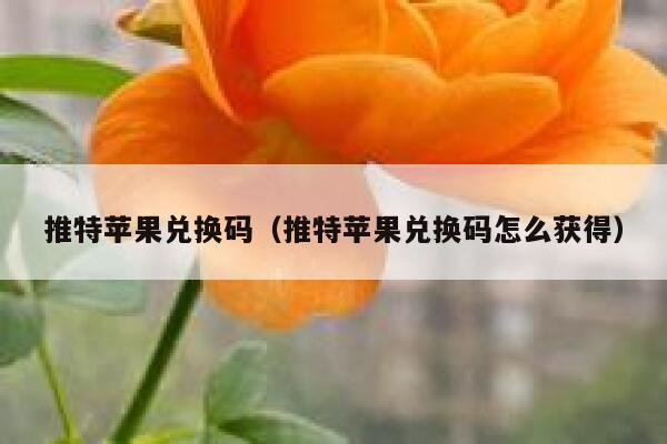 推特苹果兑换码（推特苹果兑换码怎么获得） 第1张