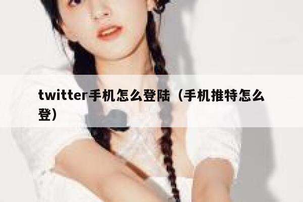 twitter手机怎么登陆（手机推特怎么登） 第1张