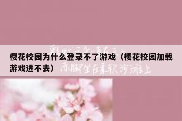 樱花校园为什么登录不了游戏（樱花校园加载游戏进不去） 第1张