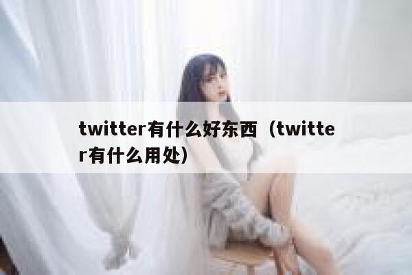 twitter有什么好东西（twitter有什么用处） 第1张
