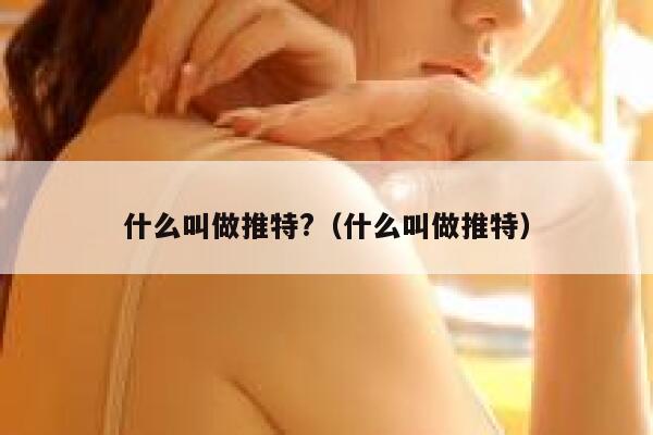 什么叫做推特?（什么叫做推特） 第1张