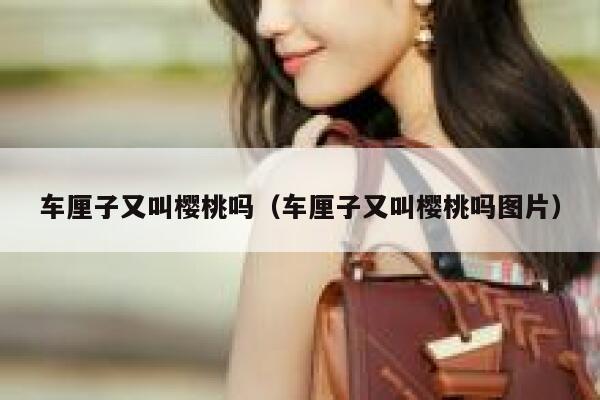 车厘子又叫樱桃吗（车厘子又叫樱桃吗图片） 第1张