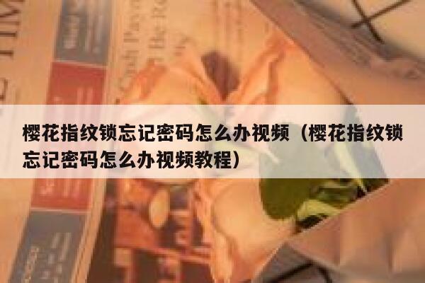 樱花指纹锁忘记密码怎么办视频（樱花指纹锁忘记密码怎么办视频教程） 第1张