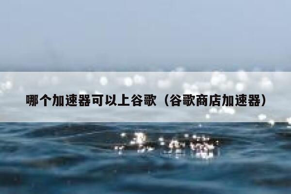 哪个加速器可以上谷歌（谷歌商店加速器） 第1张