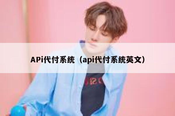 APi代付系统（api代付系统英文） 第1张