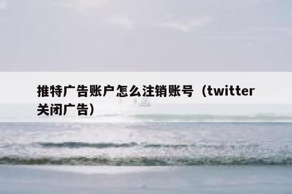 推特广告账户怎么注销账号（twitter关闭广告） 第1张