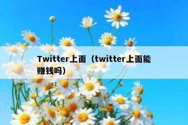 Twitter上面(twitter上面能赚钱吗) 第1张 Twitter上面(twitter上面能赚钱吗) 第1张