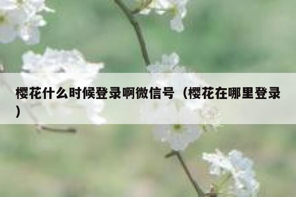 樱花什么时候登录啊微信号（樱花在哪里登录） 第1张