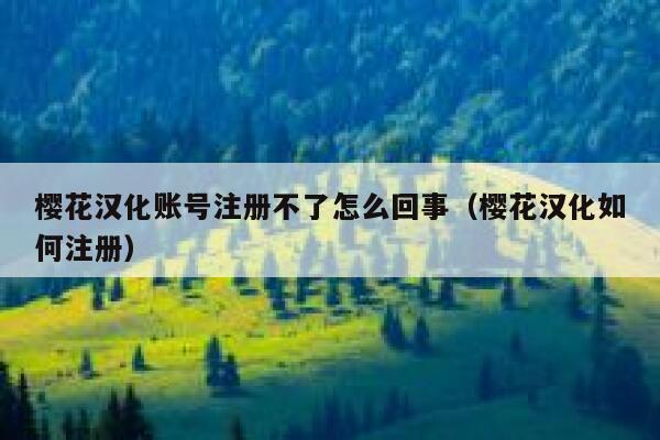 樱花汉化账号注册不了怎么回事（樱花汉化如何注册） 第1张