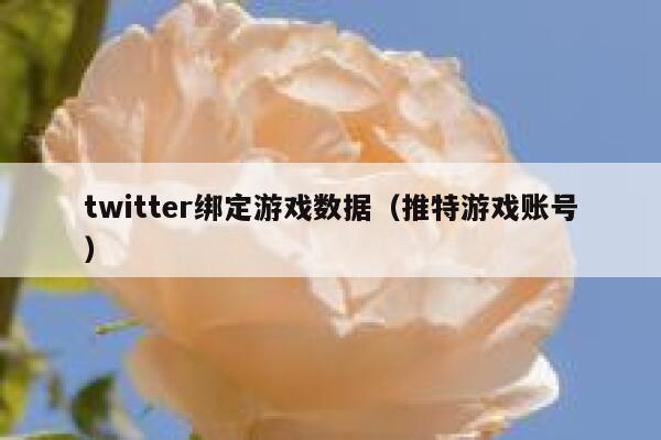 twitter绑定游戏数据（推特游戏账号） 第1张