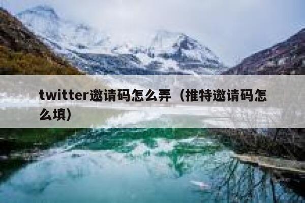 twitter邀请码怎么弄（推特邀请码怎么填） 第1张