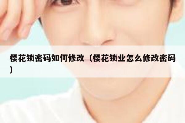 樱花锁密码如何修改（樱花锁业怎么修改密码） 第1张