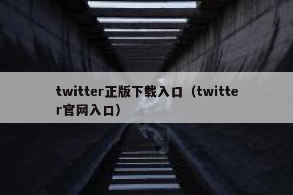twitter正版下载入口（twitter官网入口） 第1张