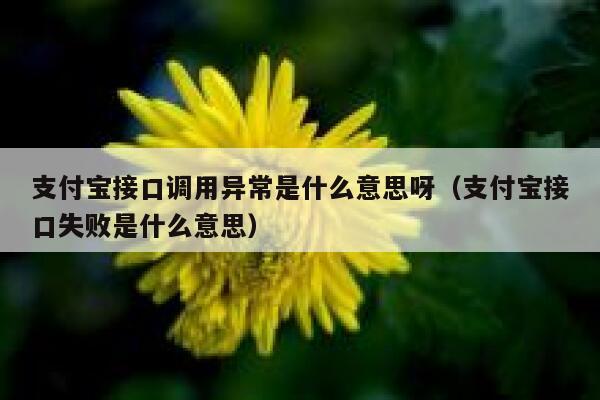 支付宝接口调用异常是什么意思呀（支付宝接口失败是什么意思） 第1张