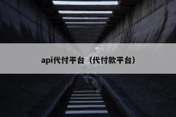 api代付平台（代付款平台） 第1张