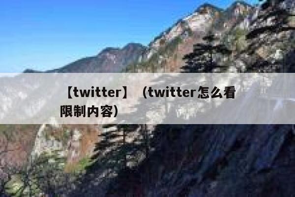 【twitter】（twitter怎么看限制内容） 第1张