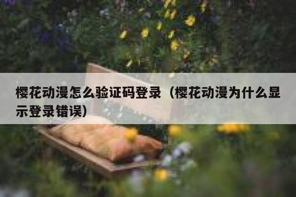樱花动漫怎么验证码登录(樱花动漫为什么显示登录错误) 第1张 樱花动漫怎么验证码登录(樱花动漫为什么显示登录错误) 第1张