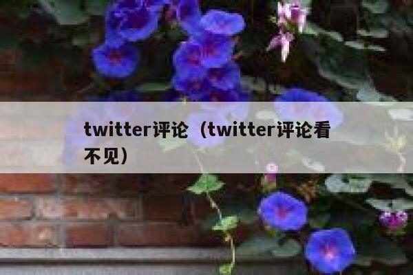 twitter评论（twitter评论看不见） 第1张