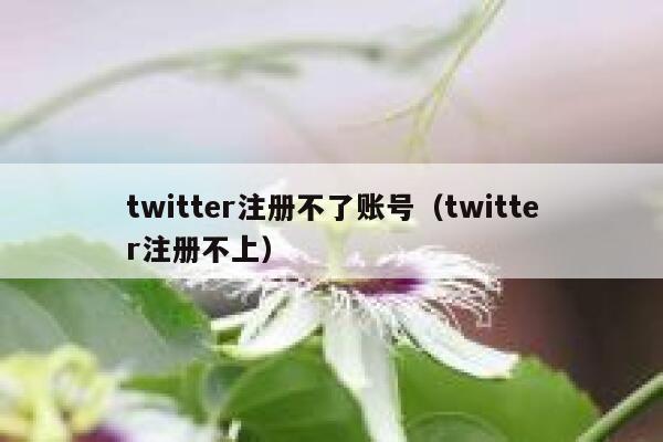 twitter注册不了账号（twitter注册不上） 第1张