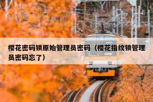 樱花密码锁原始管理员密码（樱花指纹锁管理员密码忘了） 第1张