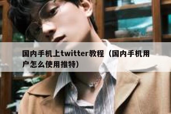 国内手机上twitter教程（国内手机用户怎么使用推特） 第1张
