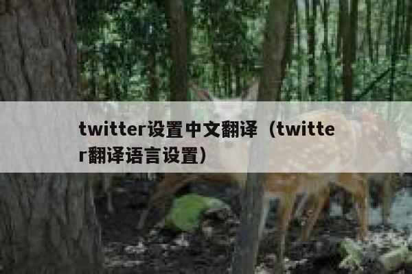 twitter设置中文翻译（twitter翻译语言设置） 第1张
