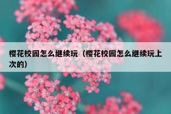 樱花校园怎么继续玩（樱花校园怎么继续玩上次的） 第1张
