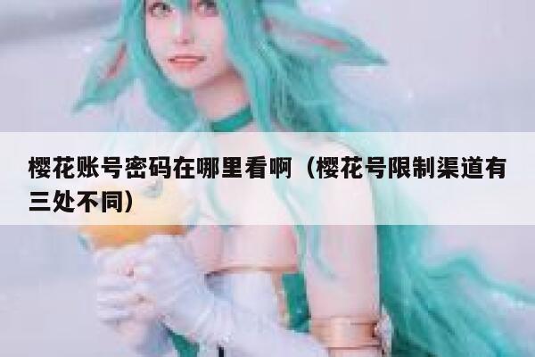 樱花账号密码在哪里看啊（樱花号限制渠道有三处不同） 第1张