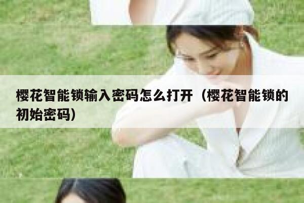 樱花智能锁输入密码怎么打开（樱花智能锁的初始密码） 第1张
