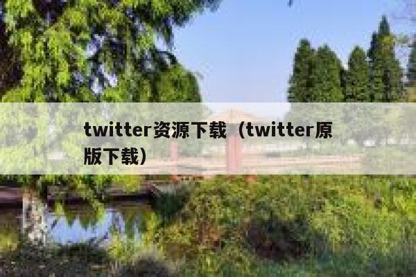 twitter资源下载（twitter原版下载） 第1张