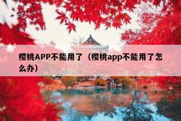 樱桃APP不能用了（樱桃app不能用了怎么办） 第1张