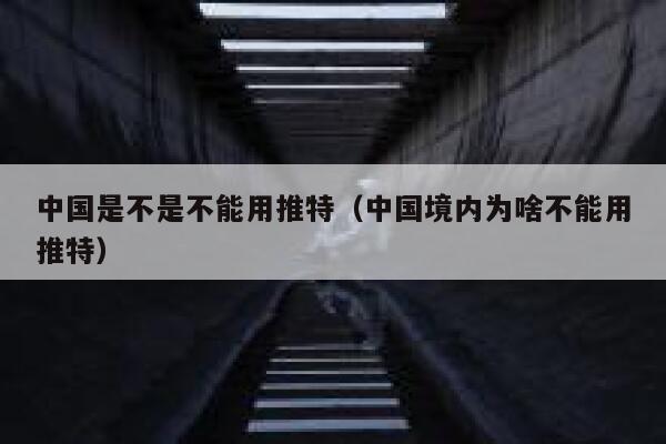 中国是不是不能用推特（中国境内为啥不能用推特） 第1张