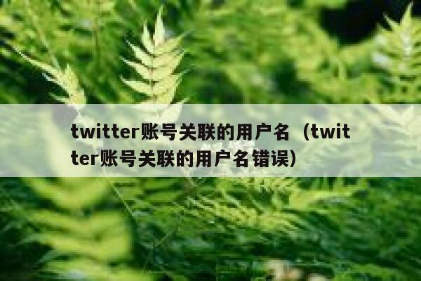 twitter账号关联的用户名（twitter账号关联的用户名错误） 第1张