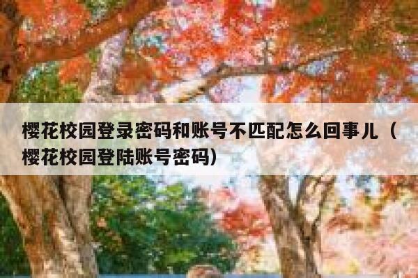 樱花校园登录密码和账号不匹配怎么回事儿（樱花校园登陆账号密码） 第1张