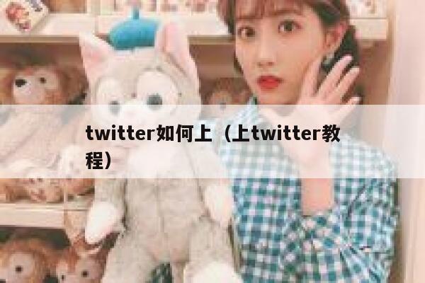 twitter如何上（上twitter教程） 第1张